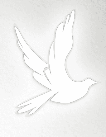 Kenneth "Skin" Warren MacNevin Obituary